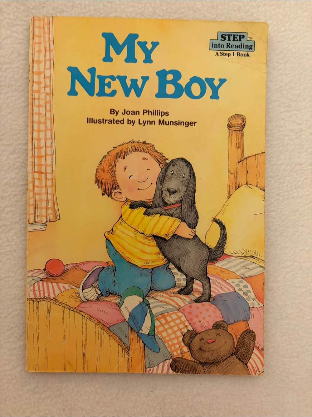 🎈5/$5 My New Boy Step Into Reading Book